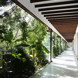 The Lifeco Bodrum Well-being Detox Center And Vegan (adults Only) 3*, Göltürkbükü Turcia